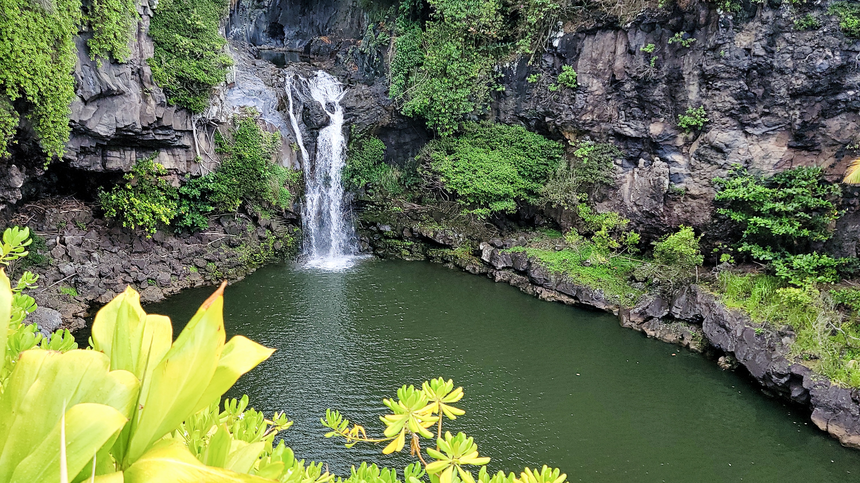 Lush Maui waterfall surrounded by tropical greenery