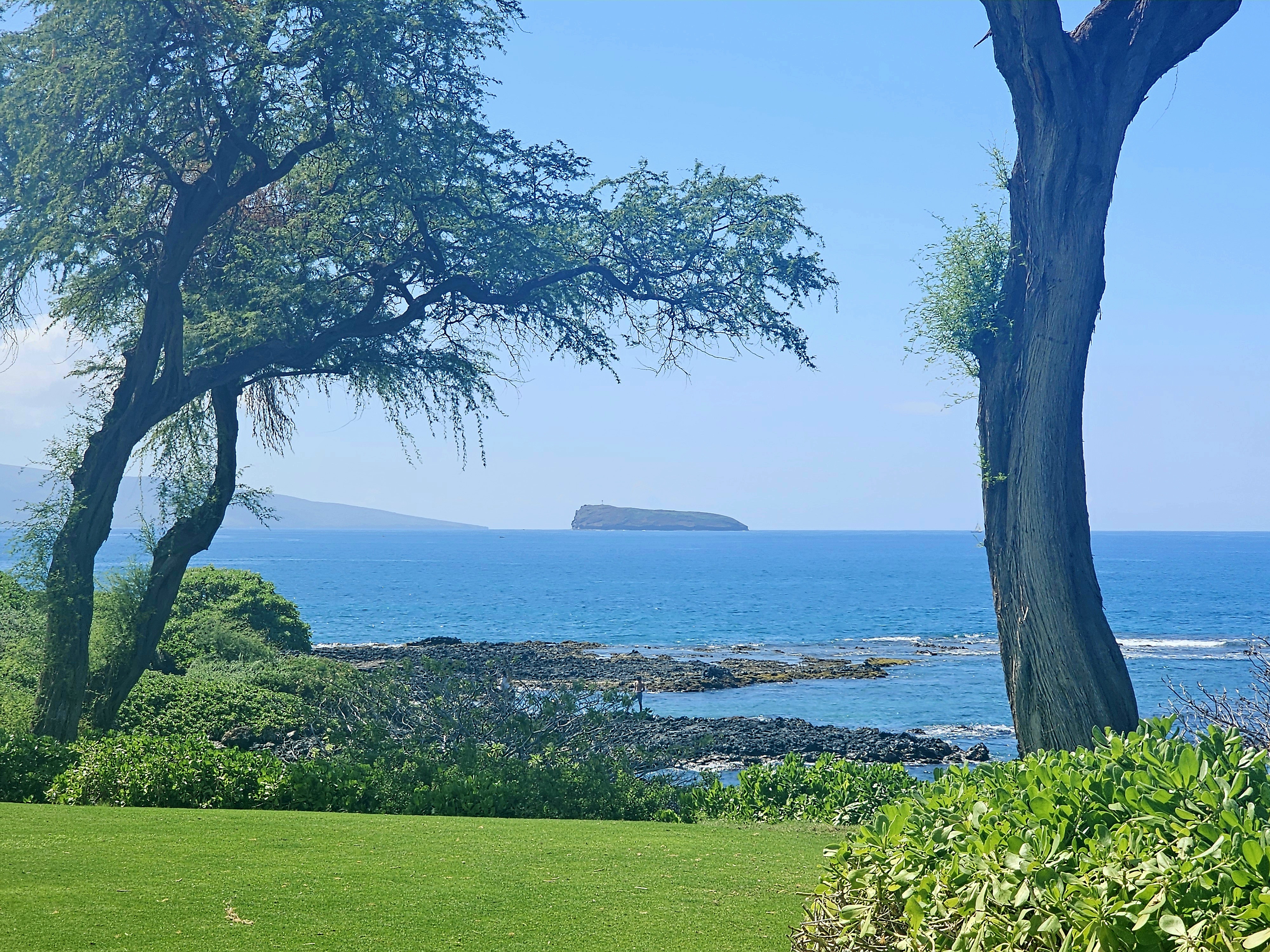 Brenda enjoying Maui's natural beauty