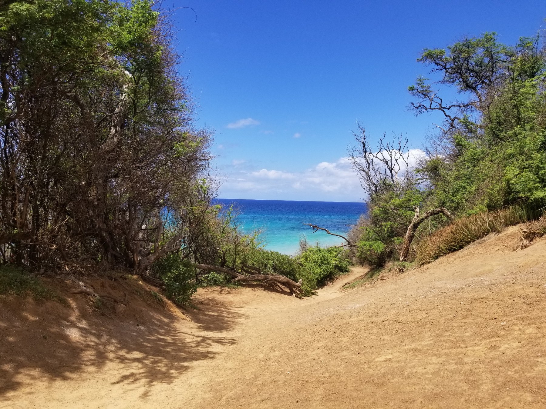 Bren’s Maui landscape photography showing the island’s ocean and mountains